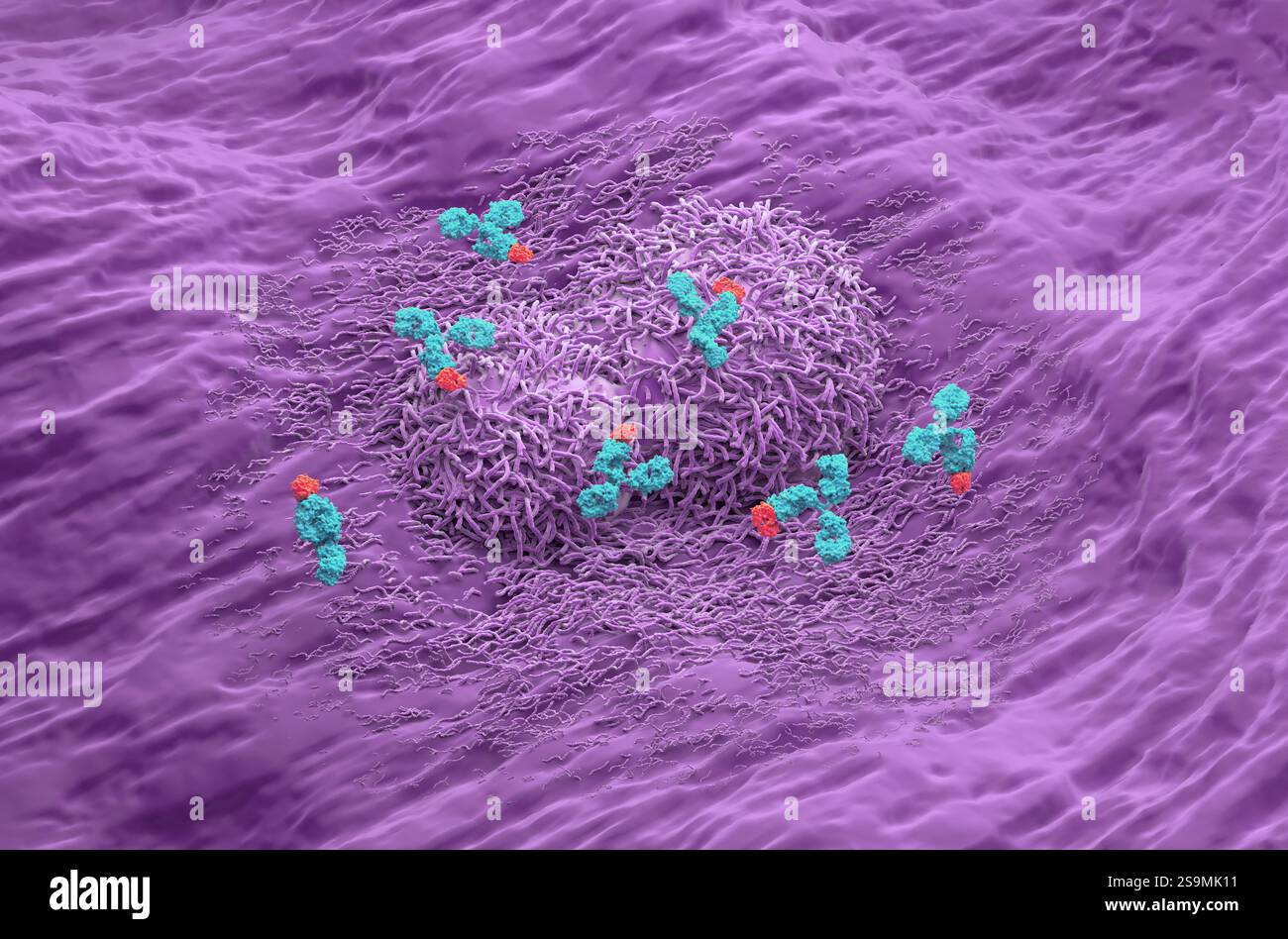 Trattamento con anticorpi monoclonali nel cancro del fegato - Vista isometrica illustrazione 3D. Foto Stock