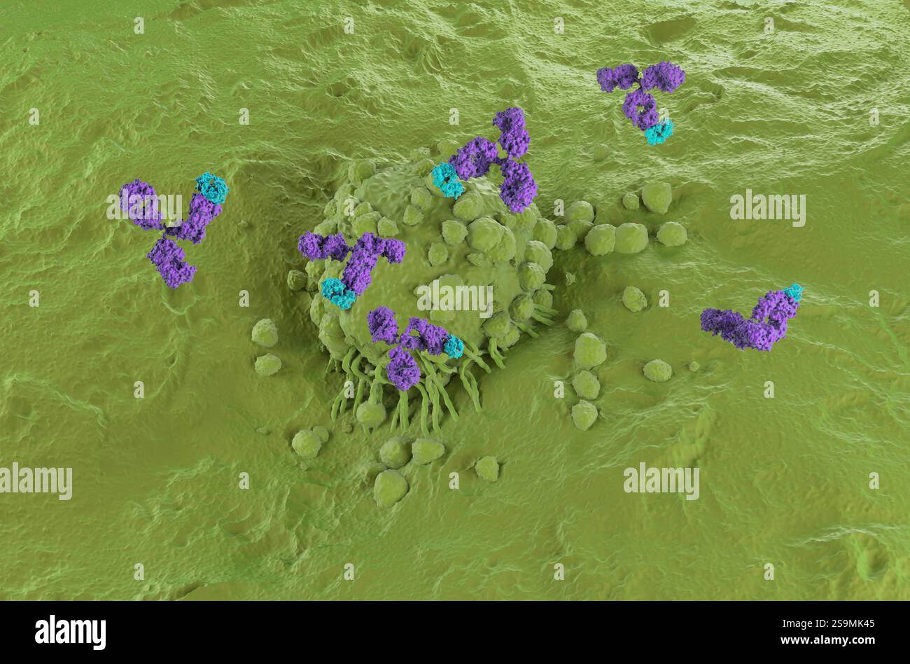 Terapia con anticorpi monoclonali nel melanoma - visualizzazione isometrica illustrazione 3d. Foto Stock