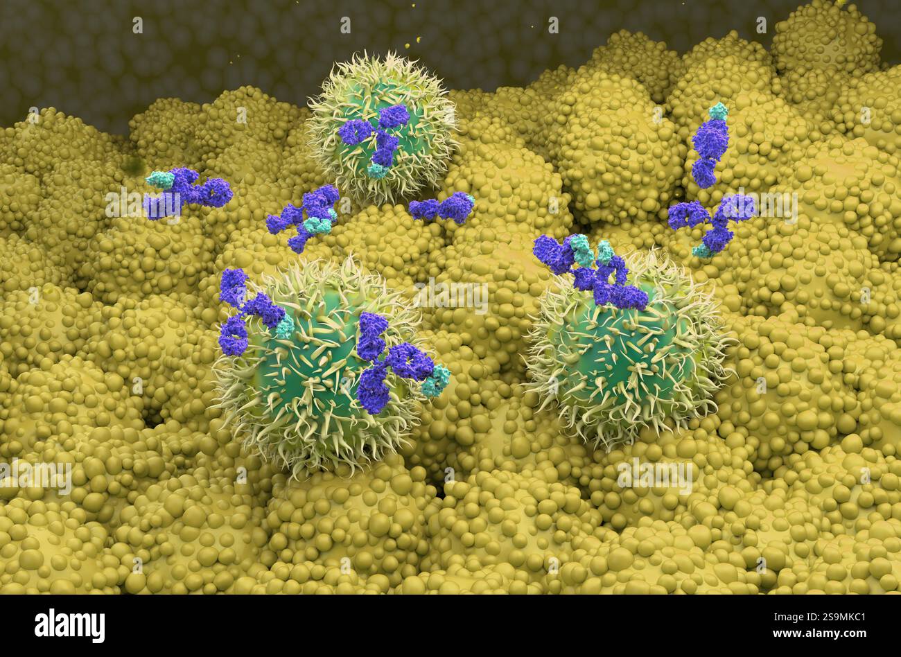 Trattamento con anticorpi monoclonali nel cancro del pancreas - Vista isometrica illustrazione 3D. Foto Stock