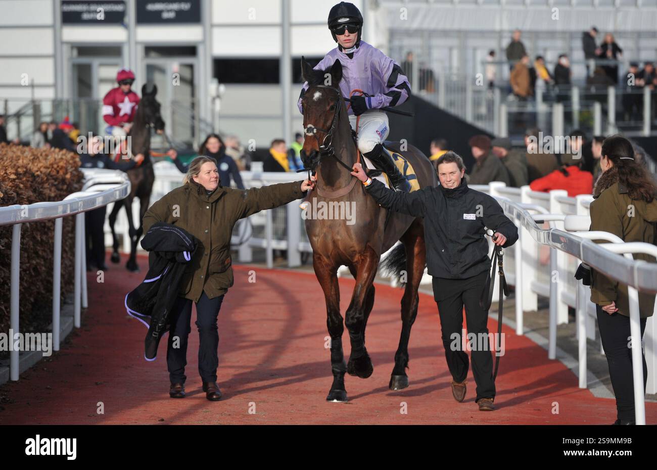 Corse di cavalli all'ippodromo di Cheltenham. Festival Trials Day, l'ultimo sabato di gennaio. Gara 4, 2,25 The Betfair Cotswold Chase Stage Star RID Foto Stock
