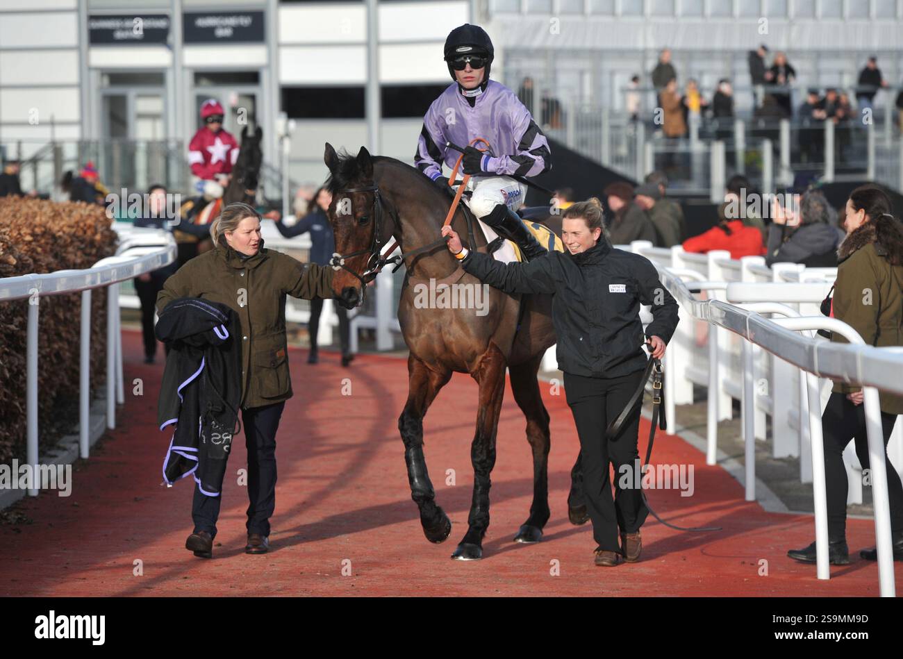 Corse di cavalli all'ippodromo di Cheltenham. Festival Trials Day, l'ultimo sabato di gennaio. Gara 4, 2,25 The Betfair Cotswold Chase Stage Star RID Foto Stock