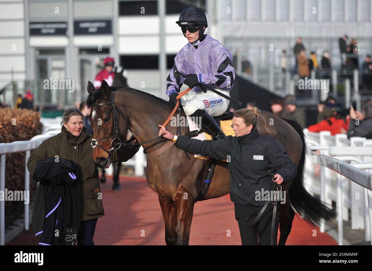 Corse di cavalli all'ippodromo di Cheltenham. Festival Trials Day, l'ultimo sabato di gennaio. Gara 4, 2,25 The Betfair Cotswold Chase Stage Star RID Foto Stock