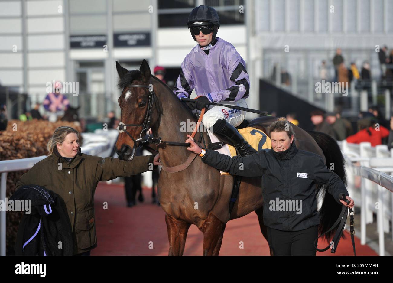 Corse di cavalli all'ippodromo di Cheltenham. Festival Trials Day, l'ultimo sabato di gennaio. Gara 4, 2,25 The Betfair Cotswold Chase Stage Star RID Foto Stock