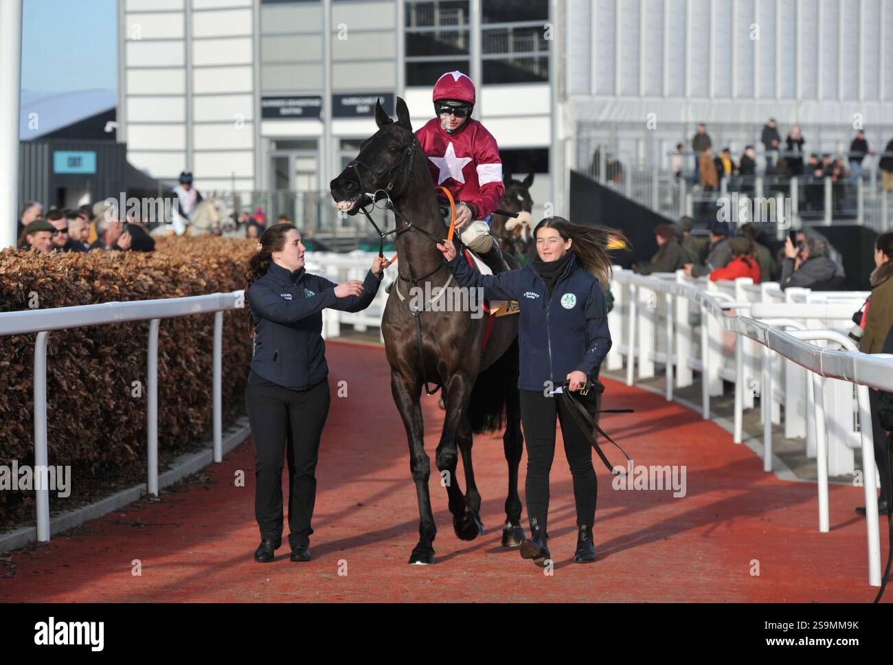 Corse di cavalli all'ippodromo di Cheltenham. Festival Trials Day, l'ultimo sabato di gennaio. Gara 4, 2,25 Betfair Cotswold Chase Delta Work RID Foto Stock