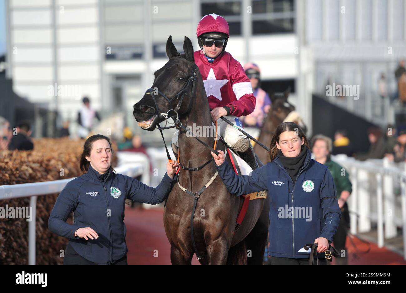 Corse di cavalli all'ippodromo di Cheltenham. Festival Trials Day, l'ultimo sabato di gennaio. Gara 4, 2,25 Betfair Cotswold Chase Delta Work RID Foto Stock