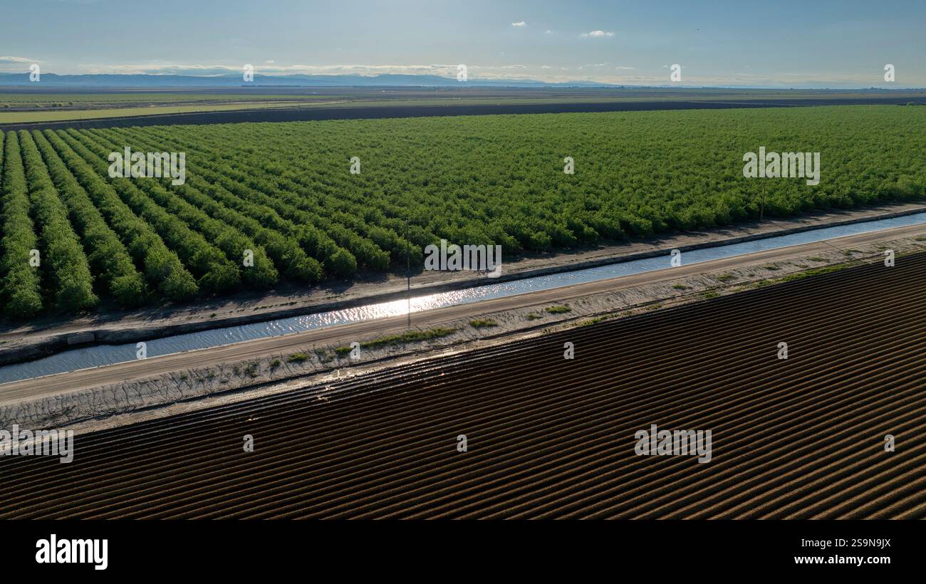 Vista aerea del canale d'acqua che divide il fitto frutteto e il campo arido Foto Stock