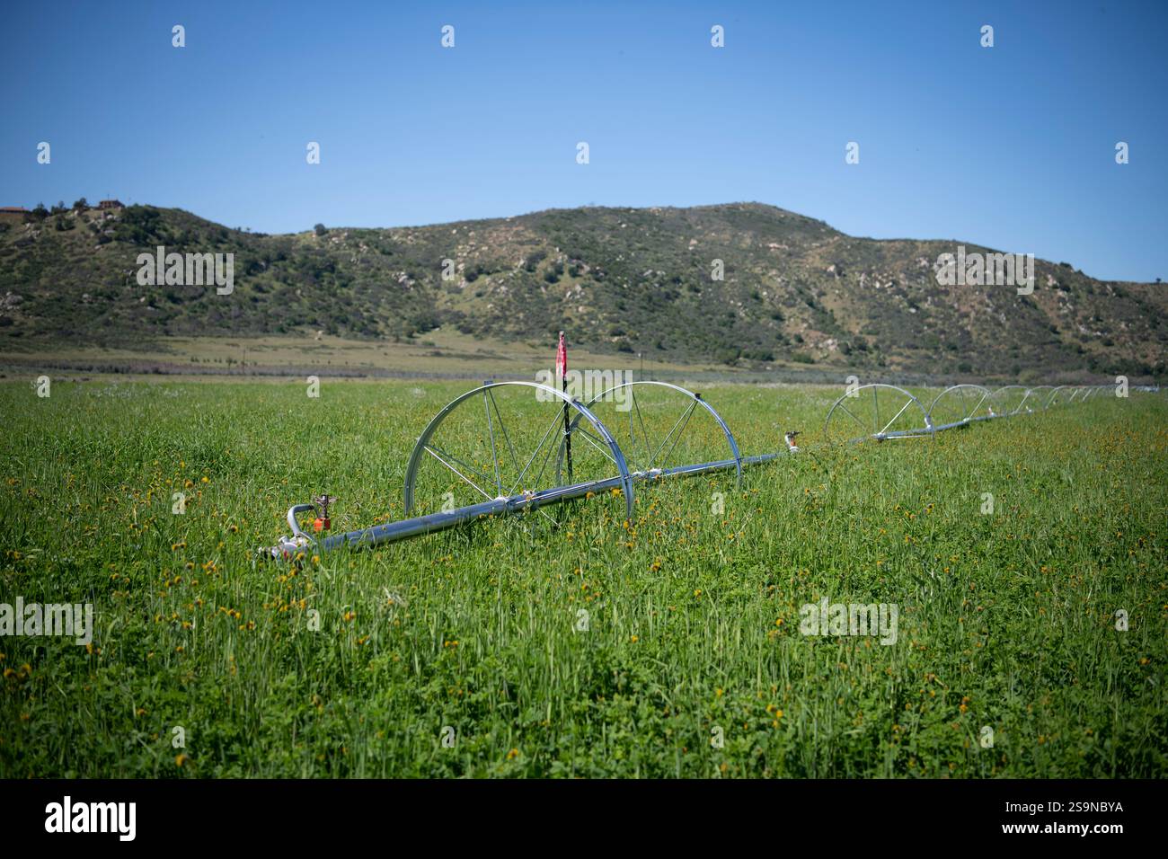 La linea della ruota dell'acqua per l'irrigazione si trova in una valle di campagna verde Foto Stock