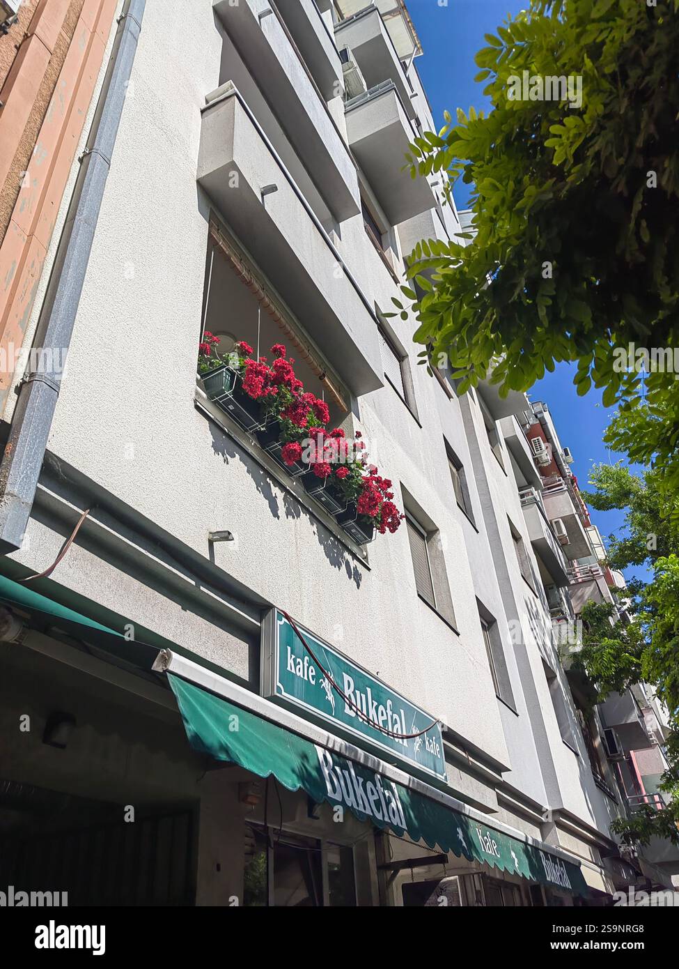 Balcone con fiori di rose rosse in una giornata di sole a Novi Sad, Serbia Foto Stock