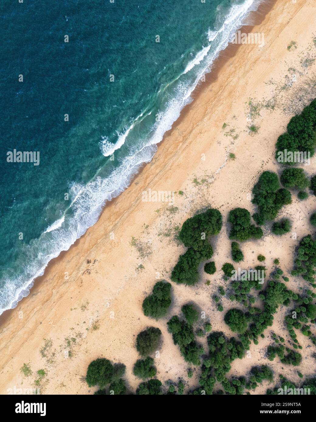 Una vista aerea di una spiaggia isolata con sabbia dorata, cespugli sparsi e dolci onde azzurre crea una fuga serena e tranquilla nella bellezza della natura. Foto Stock