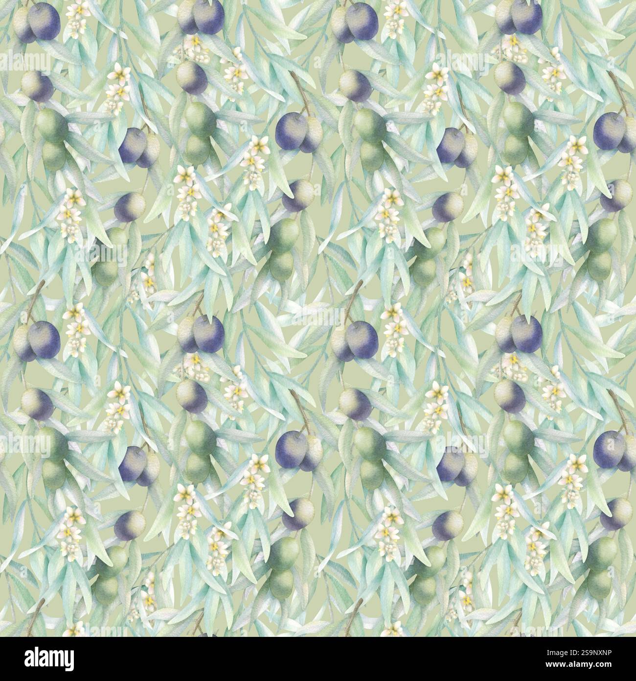Rami di ulivo con foglie, frutta e fiori in stile realistico, motivo senza cuciture. Illustrazione ad acquerello verde botanico disegnato a mano con olive verdi e nere su colore oliva chiaro per i tessuti. Foto Stock