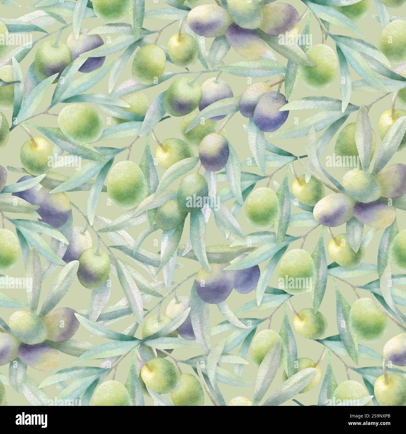 Rami di ulivo con foglie e frutta in uno stile realistico, motivo senza cuciture. Illustrazione ad acquerello verde botanico disegnato a mano con olive verdi e nere su colore oliva chiaro per tessuti e tessuti. Foto Stock