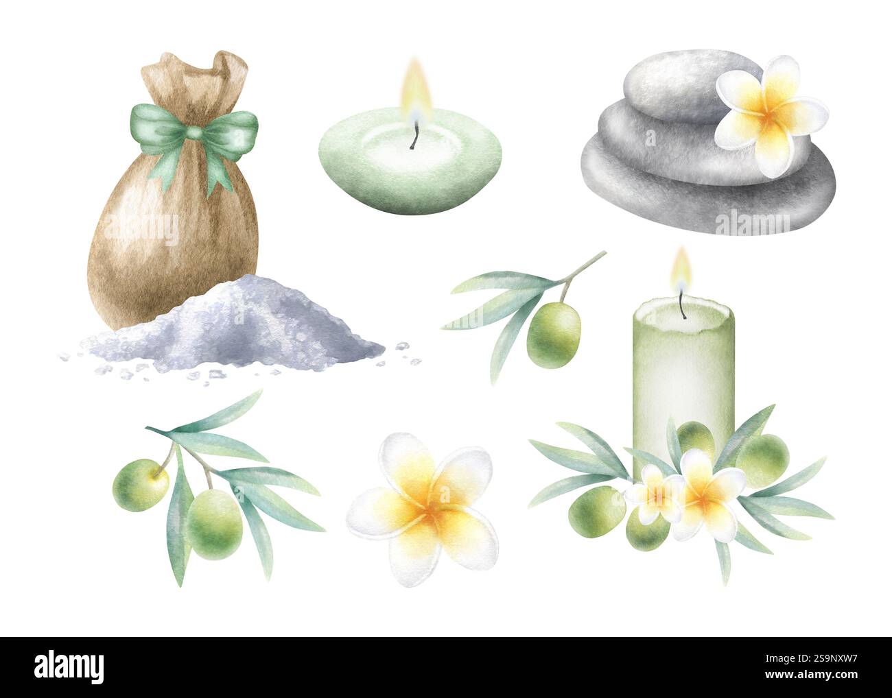 Rami d'ulivo, candele, sacco con sale marino, ciottoli e fiori plumeria. Illustrazione isolata ad acquerello disegnata a mano di cosmetici eco-bodycare. Elementi e composizioni per il design spa. Foto Stock