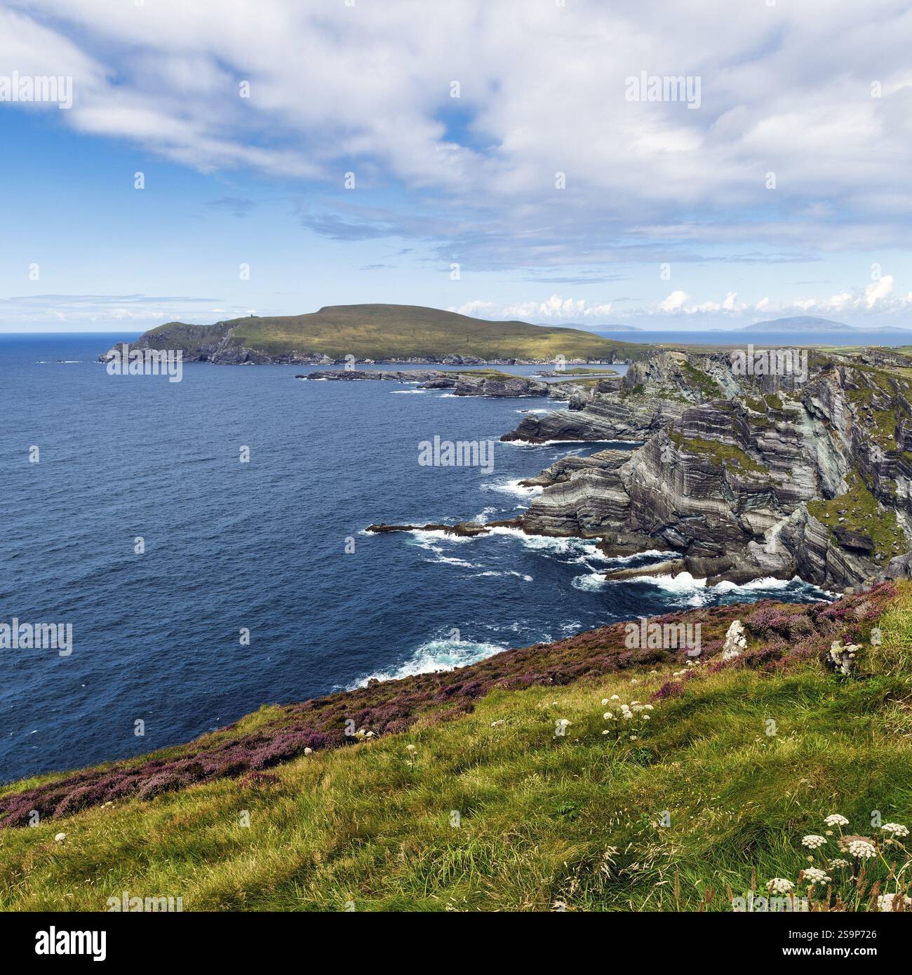 Aspre scogliere sull'Atlantico, Kerry Cliffs, Skellig Ring Scenic Road, Portmagee, Iveragh Peninsula, County Kerry, Wild Atlantic Way, Irlanda, Europa Foto Stock