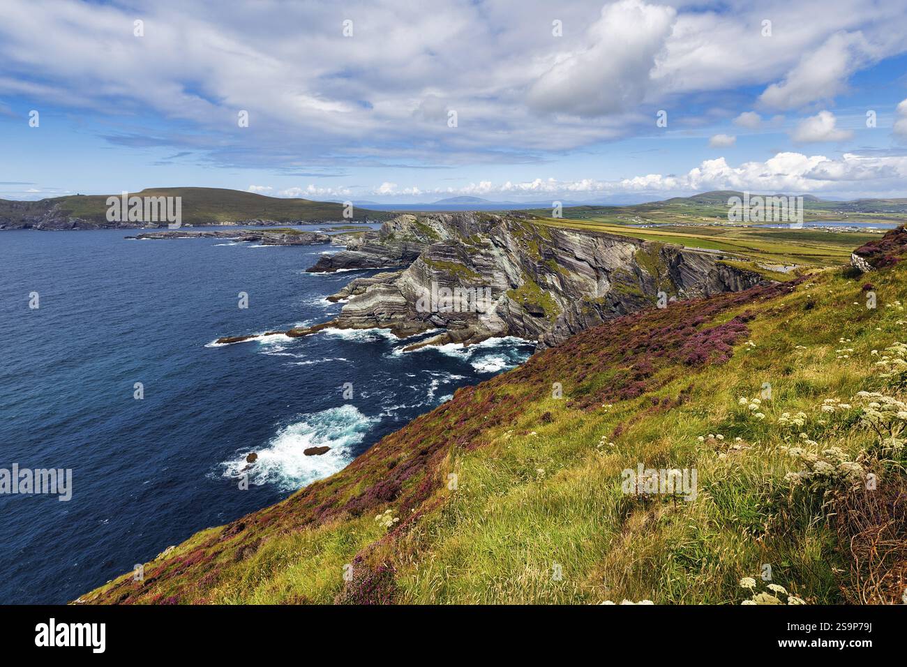 Aspre scogliere sull'Atlantico, Kerry Cliffs, Skellig Ring Scenic Road, Portmagee, Iveragh Peninsula, County Kerry, Wild Atlantic Way, Irlanda, Europa Foto Stock