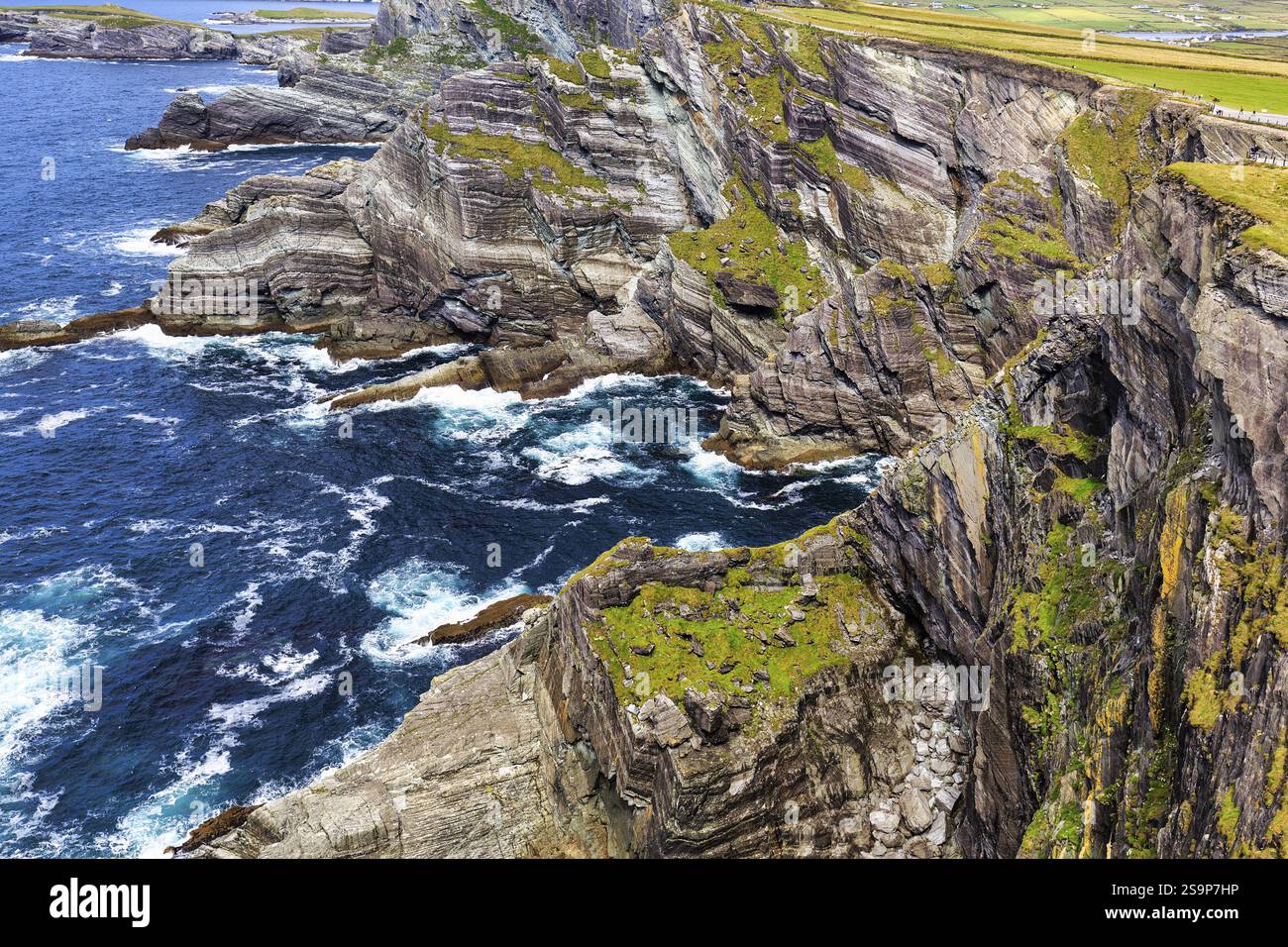 Aspre scogliere sull'Oceano Atlantico, vista verso il basso, Kerry Cliffs, strada panoramica Skellig Ring, Portmagee, Iveragh Peninsula, County Kerry, Wild Atlan Foto Stock
