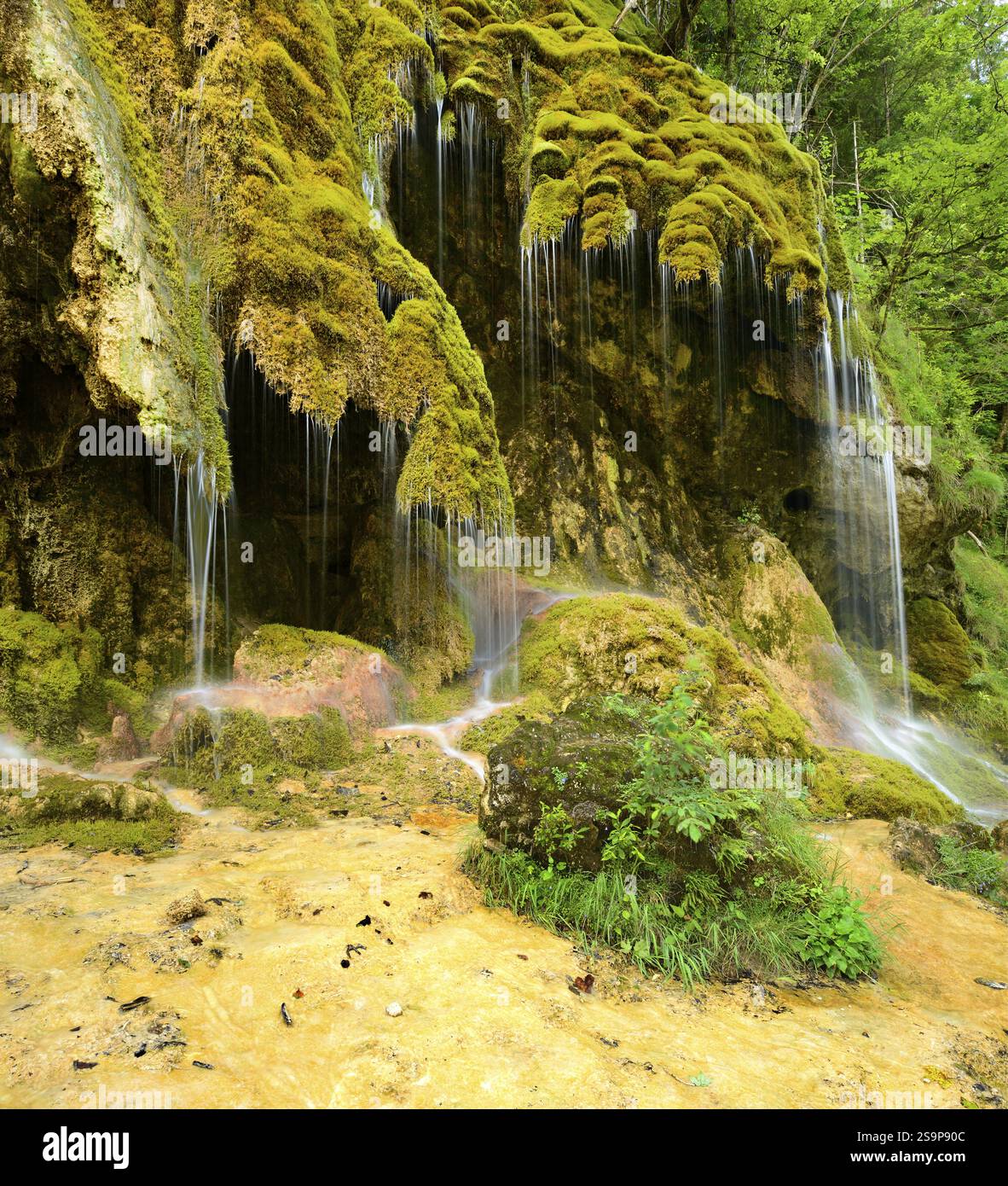 Cascate Schleier sull'Ammer, cascata coperta di muschio, Alpi Ammergau, Baviera, Germania, Europa Foto Stock