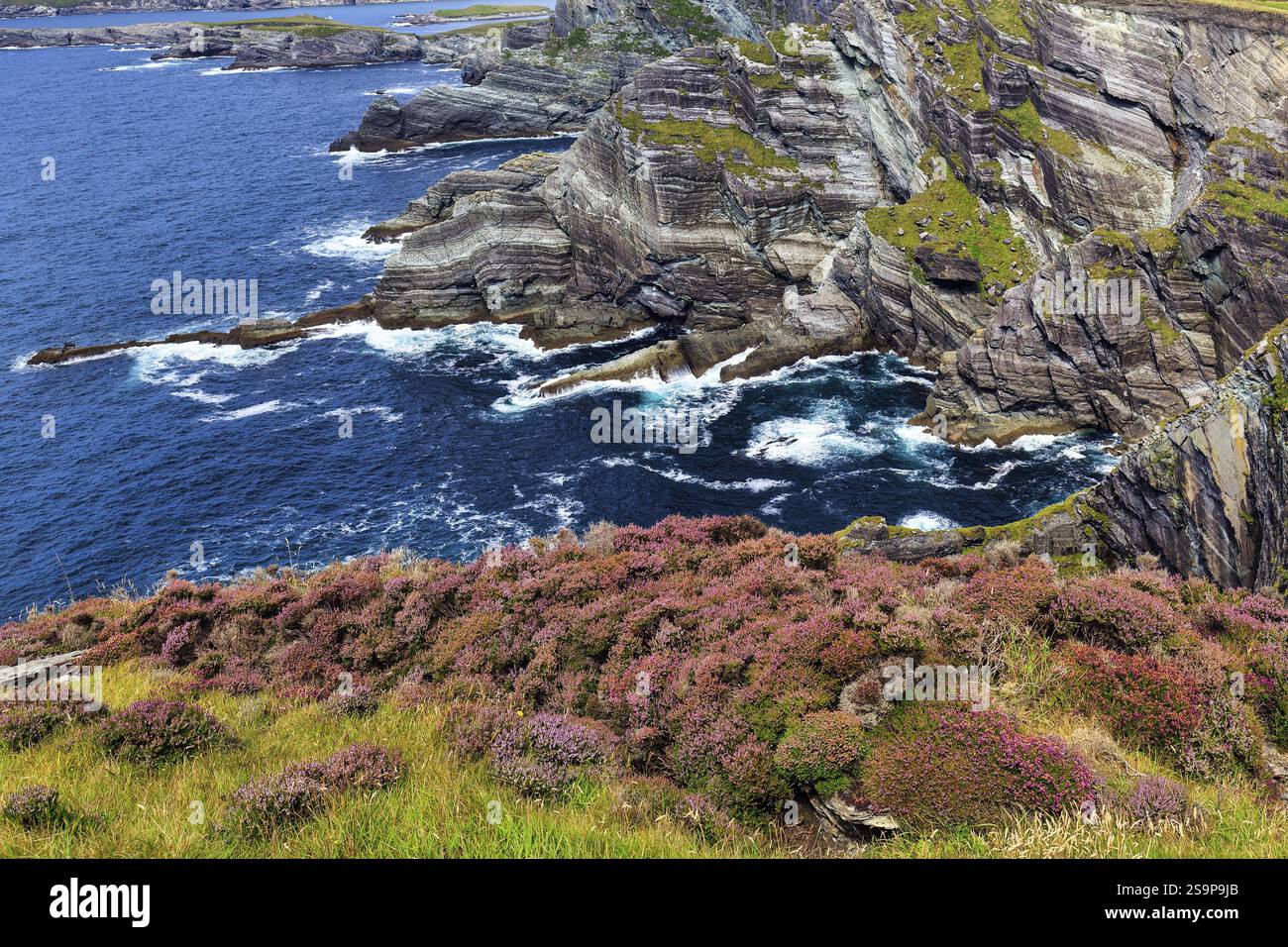Aspre scogliere sull'Oceano Atlantico, vista verso il basso, Kerry Cliffs, strada panoramica Skellig Ring, Portmagee, Iveragh Peninsula, County Kerry, Wild Atlan Foto Stock