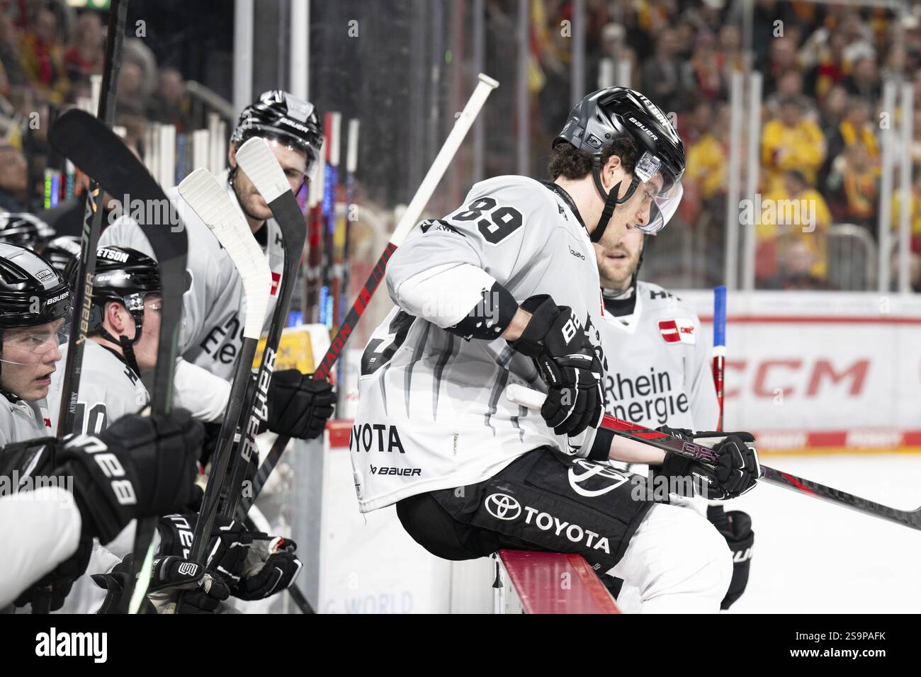 PSD Bank Dome, Duesseldorf, Renania settentrionale-Vestfalia, Gregor Macleod (Koelner Haie, #89), PENNY DEL, Duesseldorfer EG- Koelner Haie su 24.01.2025 presso il Foto Stock