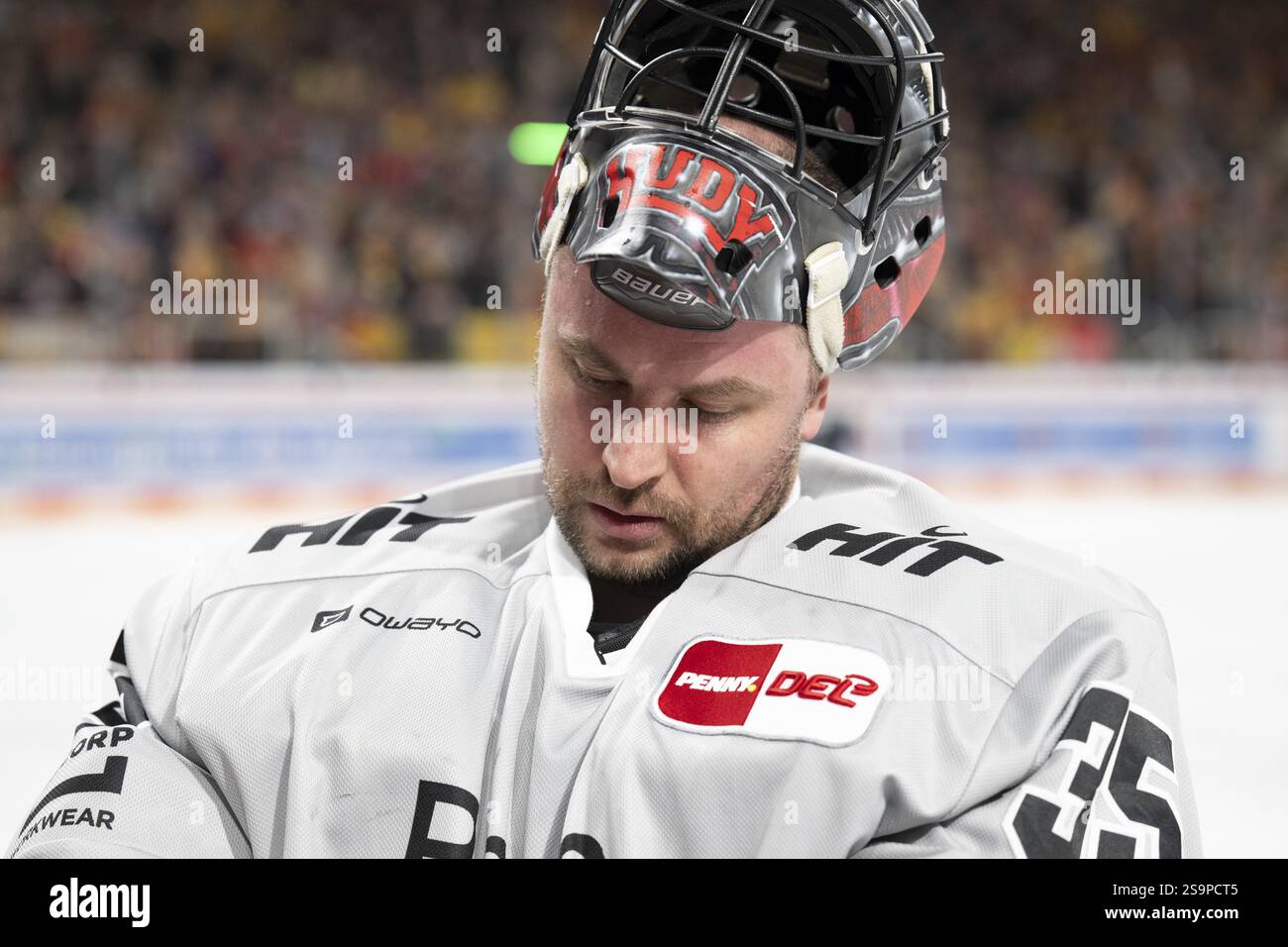 PSD Bank Dome, Duesseldorf, Renania settentrionale-Vestfalia, Julius Hudacek (Koelner Haie, #35), PENNY DEL, Duesseldorfer EG- Koelner Haie su 24.01.2025 presso il Foto Stock