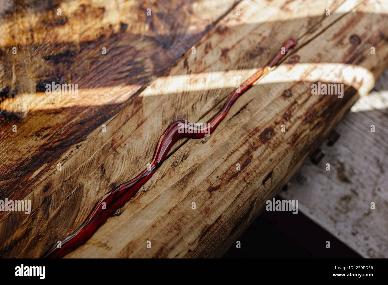 Superficie in legno con resina epossidica rossa alla luce del sole, che mostra una consistenza rustica Foto Stock