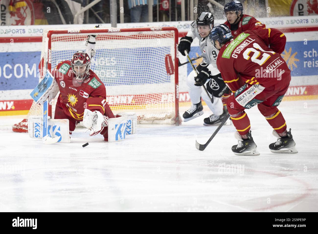 PSD Bank Dome, Duesseldorf, Renania settentrionale-Vestfalia, Henrik Haukeland (Duesseldorfer EG, #40), PENNY DEL, Duesseldorfer EG- Koelner Haie su 24.01.2025 Foto Stock