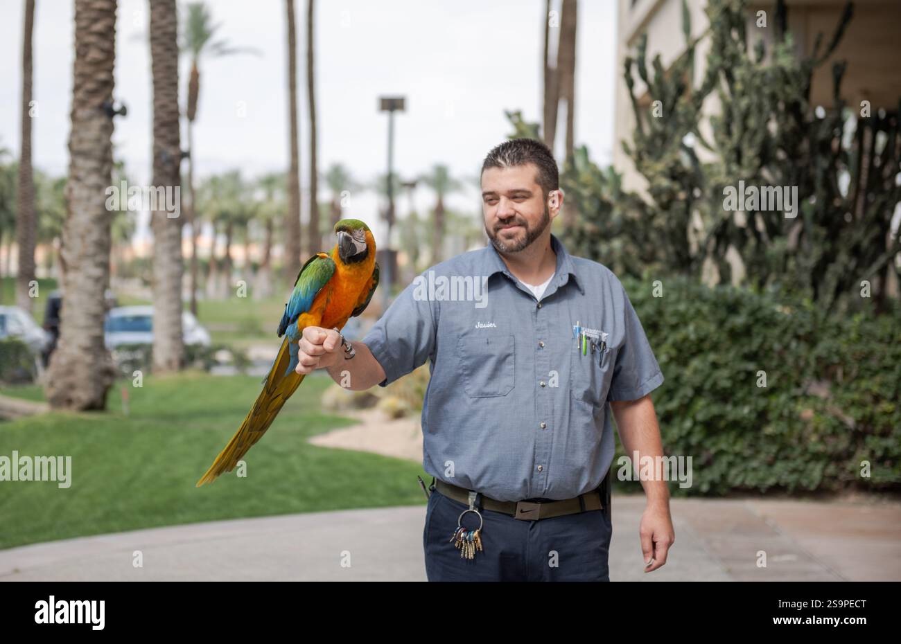 Palm Desert, CA USA - 6 maggio 2018: Incontro animale con un pappagallo presso il lussuoso resort JW Marriott Desert Springs Resort and Spa. Foto Stock