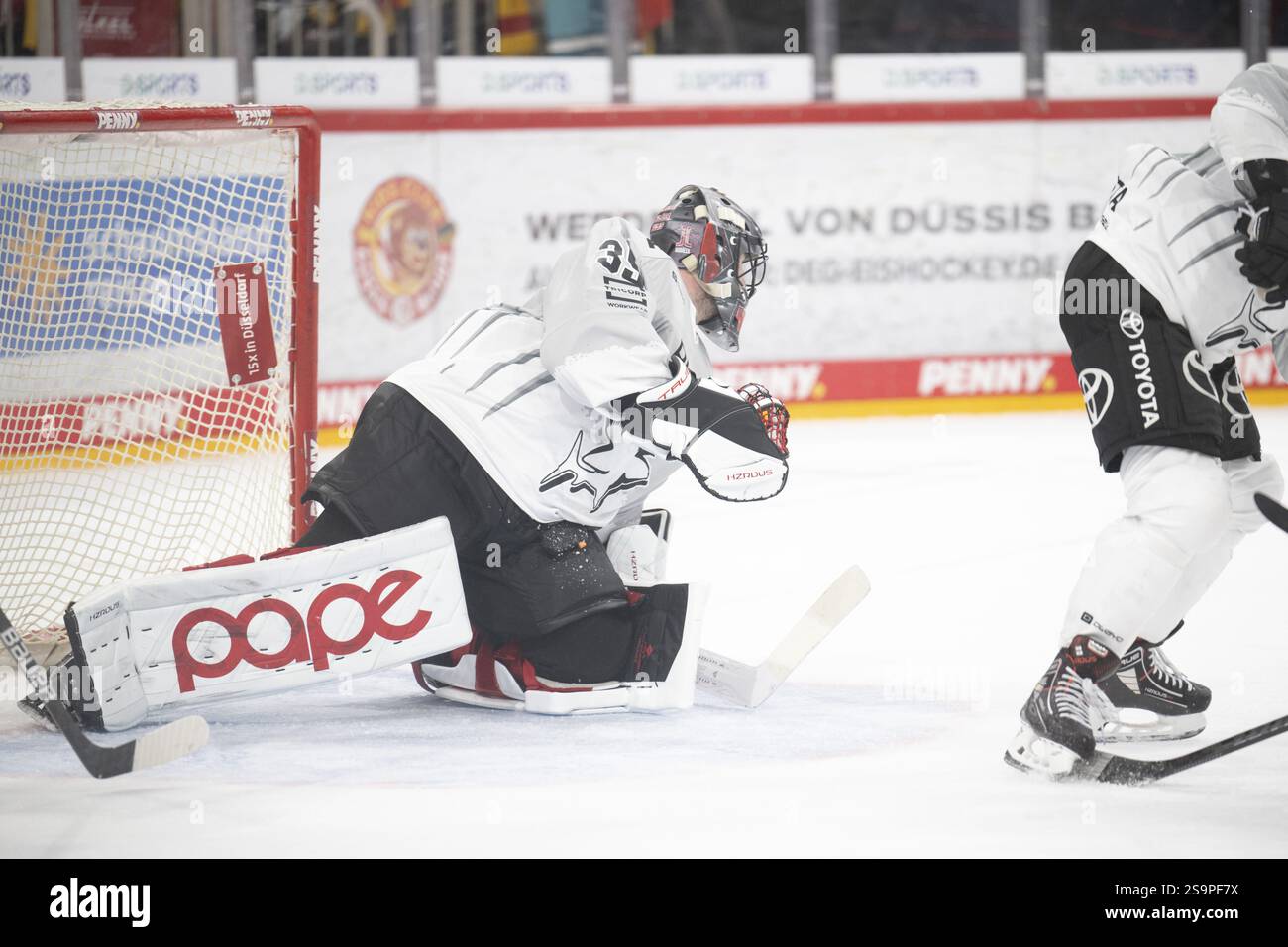 PSD Bank Dome, Duesseldorf, Renania settentrionale-Vestfalia, Julius Hudacek (Koelner Haie, #35), PENNY DEL, Duesseldorfer EG- Koelner Haie su 24.01.2025 presso il Foto Stock