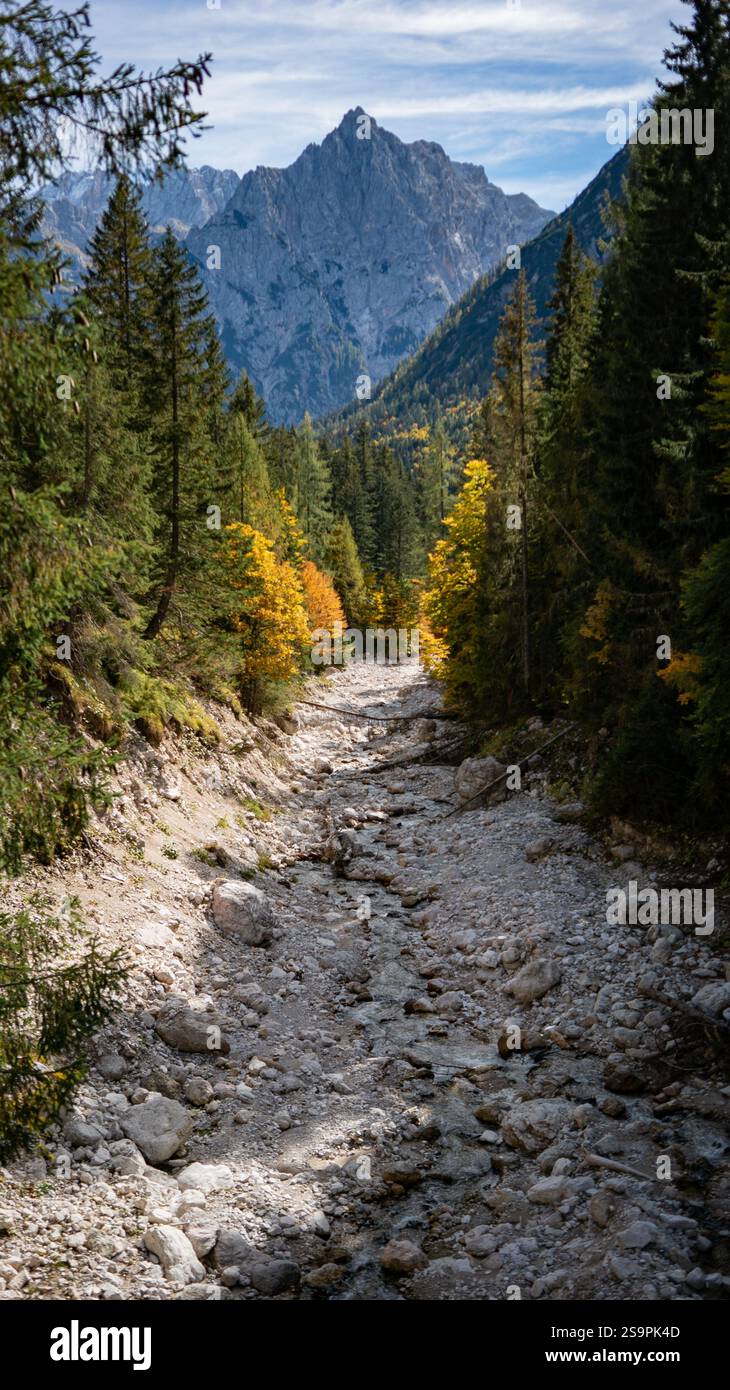 Mountain Wilderness con alberi di arco dorato nelle Alpi italiane Foto Stock