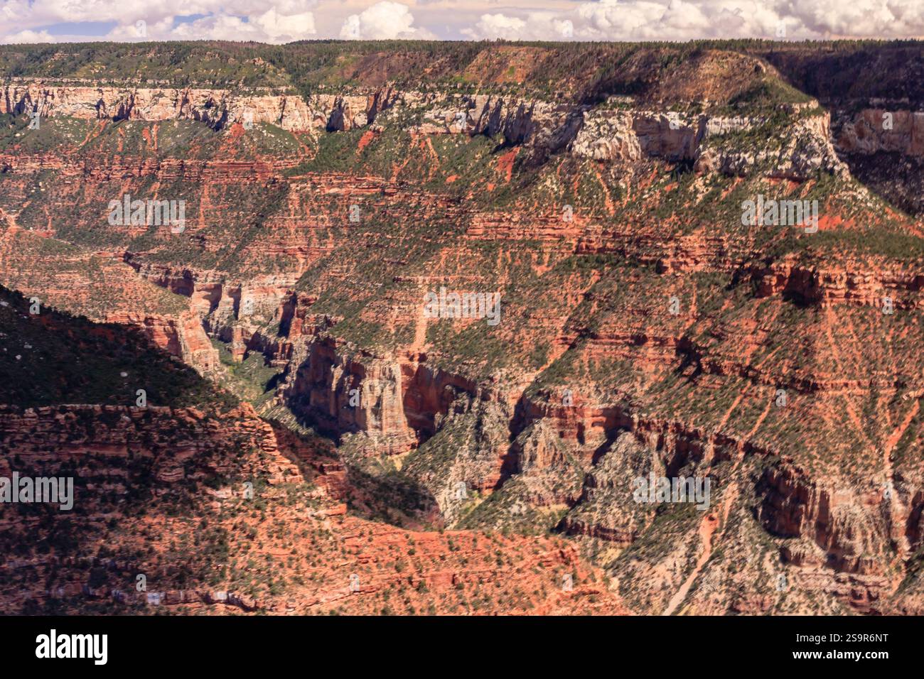 Il Grand Canyon National Park è uno dei parchi nazionali più antichi degli Stati Uniti e si trova in Arizona. All'interno del parco si trova il Grand Canyon, un gorg Foto Stock
