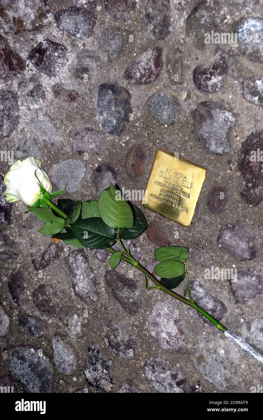 Padova, 27 gennaio 2025: Giornata internazionale della memoria dell'Olocausto. Questa mattina, le autorità cittadine di Padova hanno posato quattro nuovi Stolperstein dedicati a quattro cittadini ebrei deportati e uccisi nel campo di sterminio di Auschwitz birkenau. Crediti: Ferdinando Piezzi/Alamy Live News Foto Stock