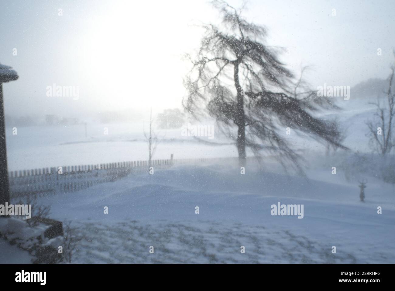 Blizzard Conditions, febbraio 2018 Beast from the East Storm, vicino a Kielder Water, Northumberland, Inghilterra, Regno Unito Foto Stock