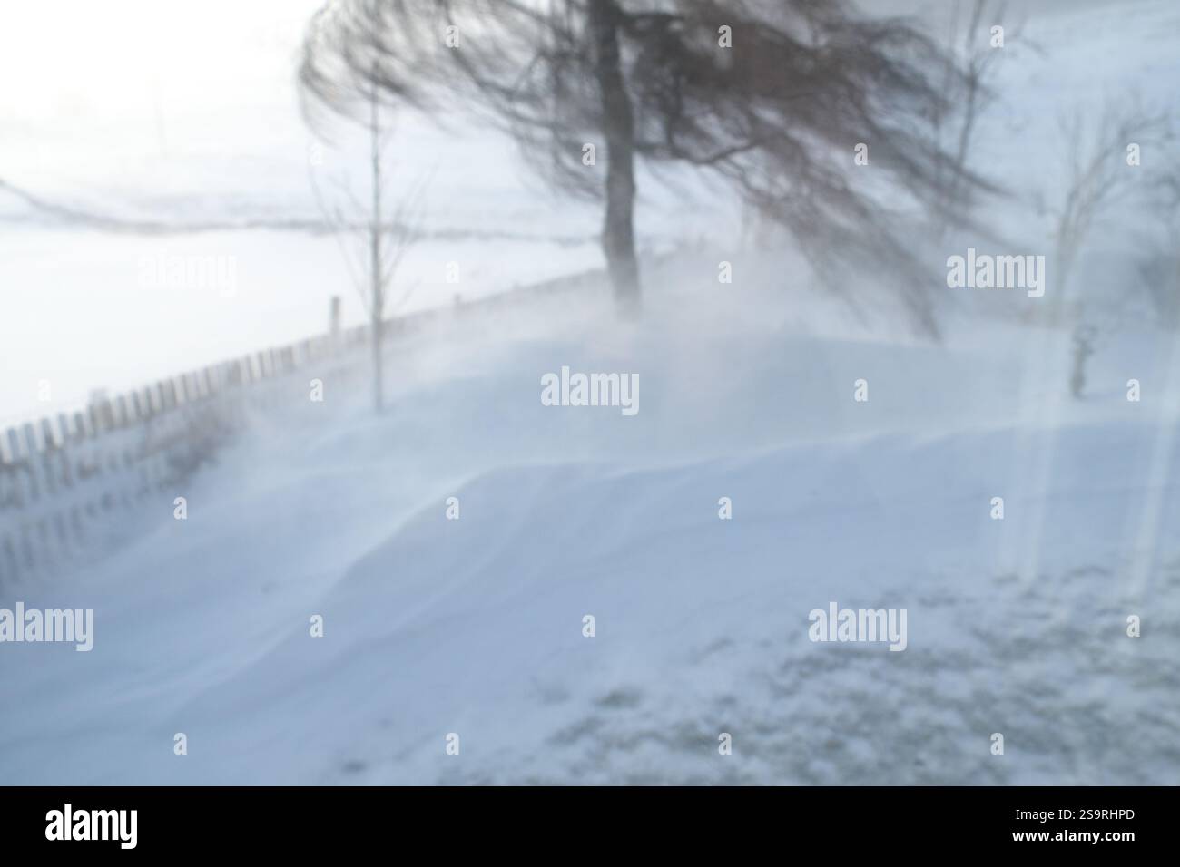 Tempesta di neve invernale, la bestia da est, febbraio 2018, Yarrow, Falstone, Northumberland, Inghilterra, Regno Unito. Foto Stock
