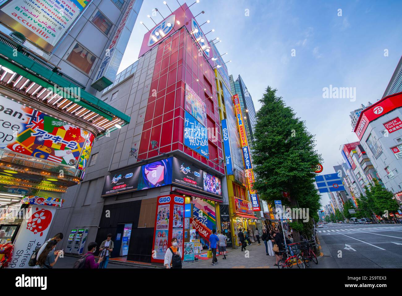 Akihabara Electric Town su Chuo-dori Avenue nel quartiere Chiyoda di Tokyo, Giappone. Foto Stock