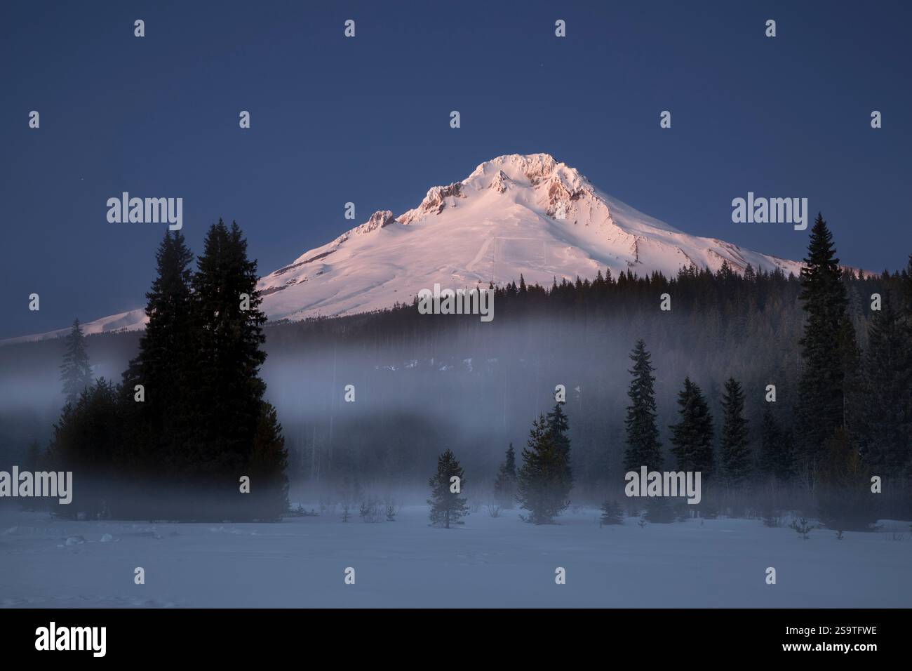 OR03016-00....OREGON - Monte Hood in inverno dal Trillium Lake SLI Loop, Mount Hood National Forest. Foto Stock