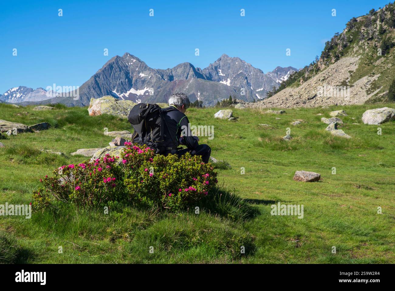 Un escursionista estivo in montagna con alberi e picchi in lontananza, nei Pirenei in Francia Foto Stock