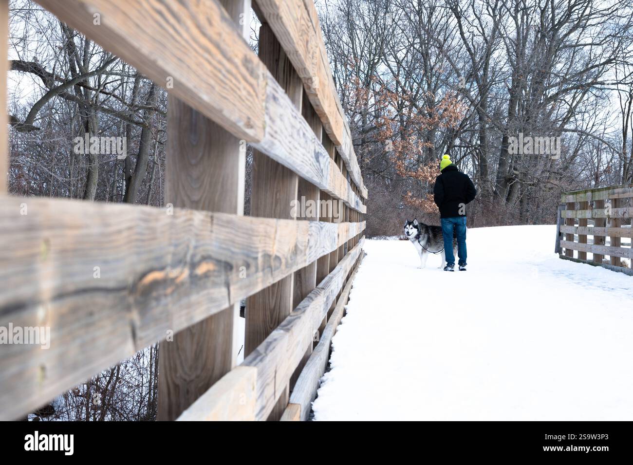 Uomo che cammina un cane malamuto attraverso un ponte coperto di neve Foto Stock