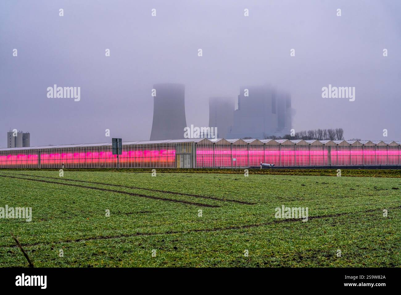 Centrale elettrica a lignite Neurath, gestita da RWE nell'area mineraria renana della lignite, le serre sono riscaldate con calore di scarto proveniente dalla centrale elettrica a carbone Foto Stock