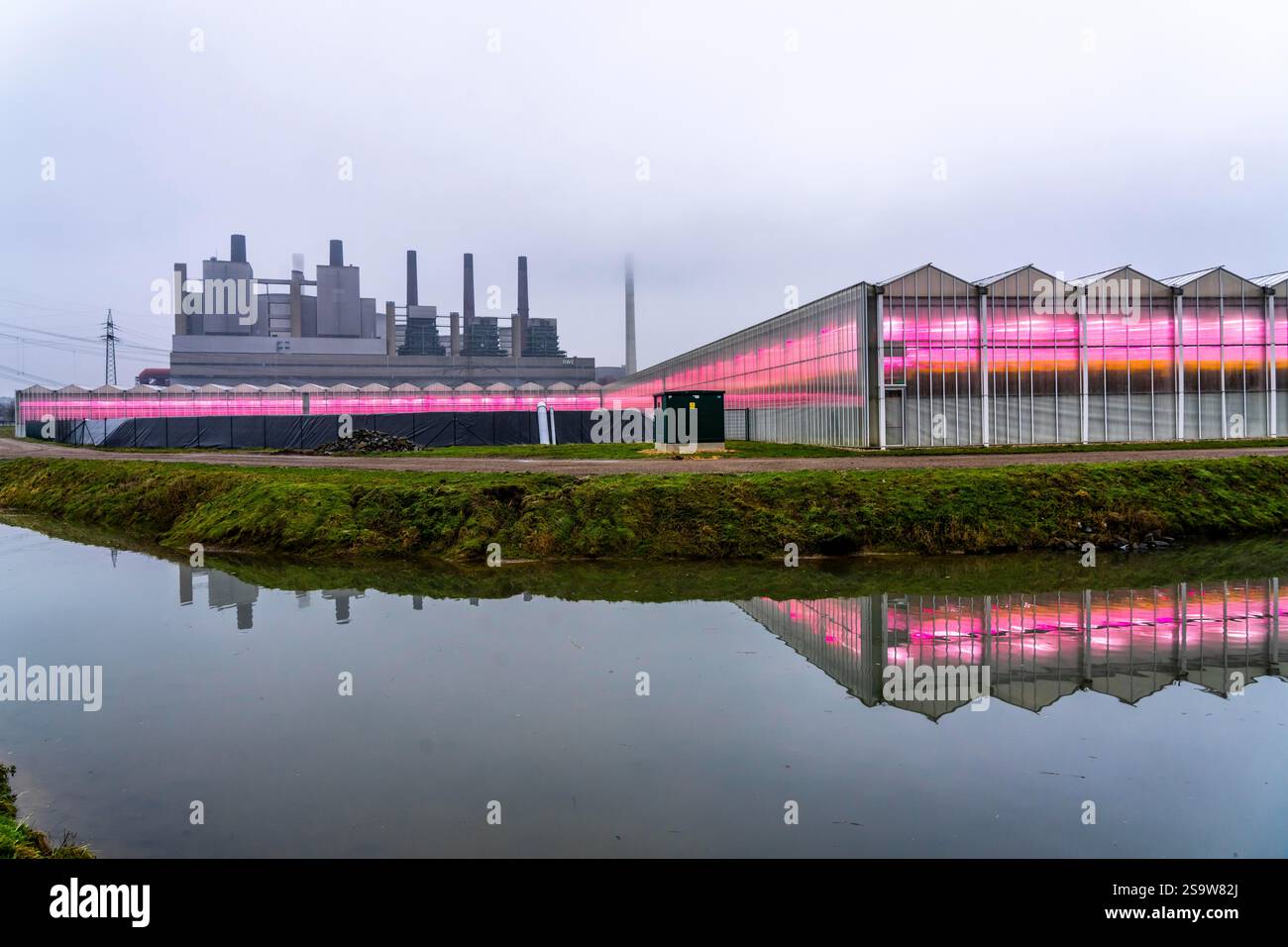 Centrale elettrica a lignite Neurath, gestita da RWE nell'area mineraria renana della lignite, le serre sono riscaldate con calore di scarto proveniente dalla centrale elettrica a carbone Foto Stock