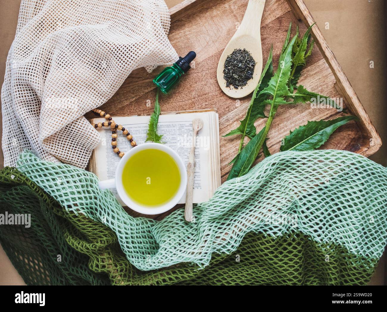 Сomposition con tè alle erbe, vecchio libro, foglie di dente di leone e una bottiglia di essenza di erbe. Concetto di piante medicinali. Foto Stock