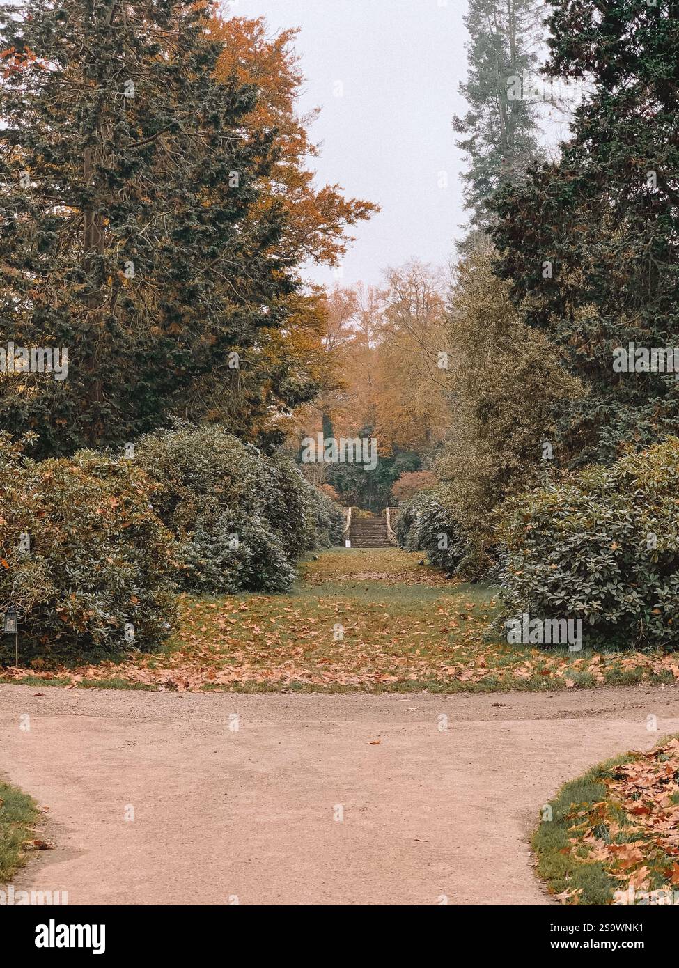 Incantevole fotografia dei terreni del castello di Hever nel Kent, in Inghilterra, scattata durante la stagione autunnale. Foto Stock