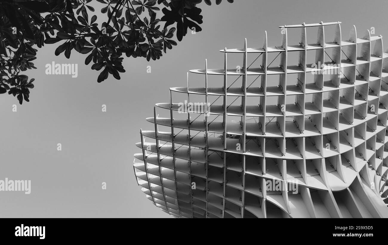 Il Setas de Sevilla, noto anche come Metropol Parasol, è una grande e unica struttura in legno situata in Plaza de la Encarnación nel vecchio quartiere di Sev Foto Stock