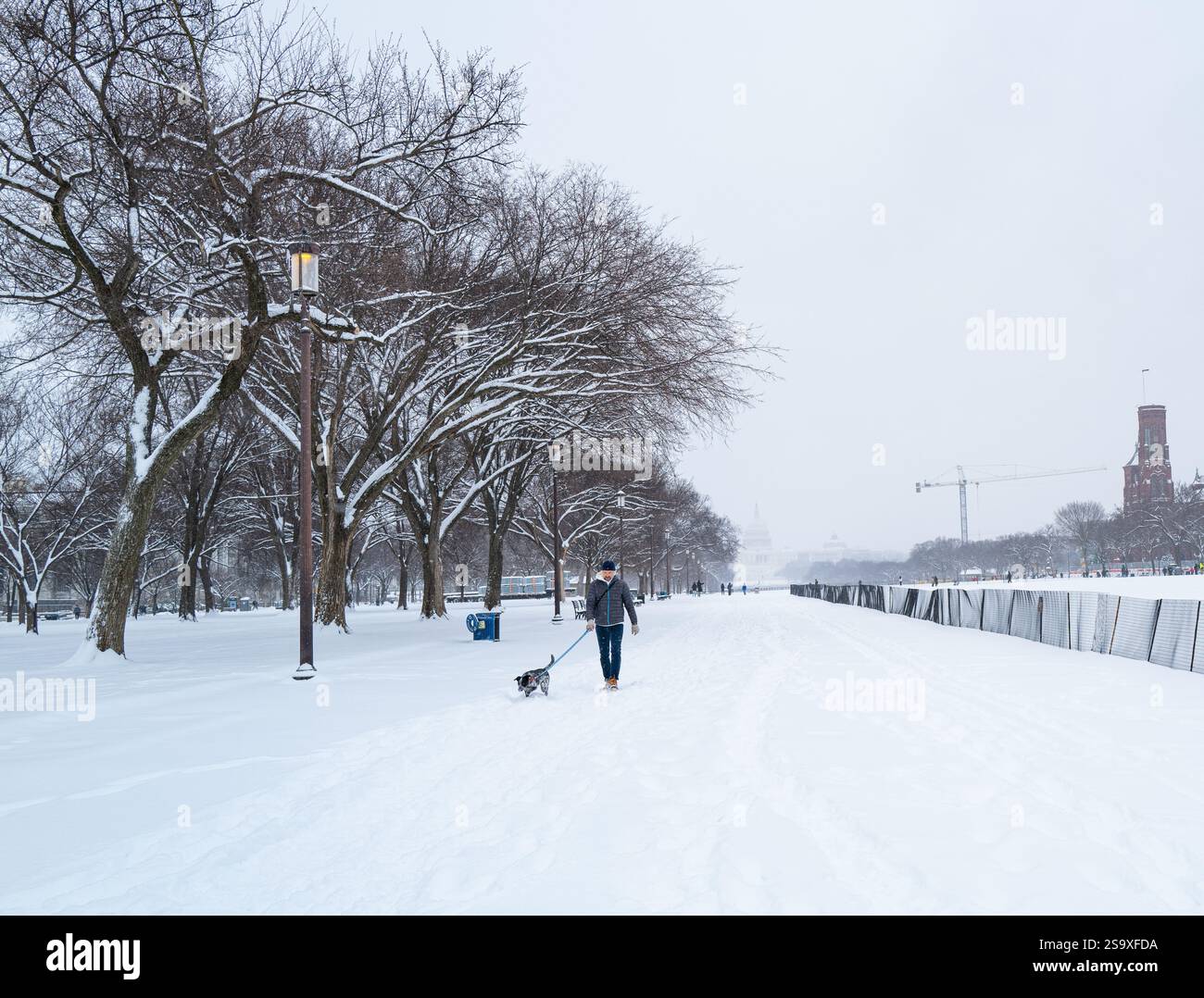 Washington, D.C., U.S.A. - 6 gennaio 2025: Un uomo cammina con il suo cane lungo il National Mall in una giornata nevosa d'inverno. Foto Stock