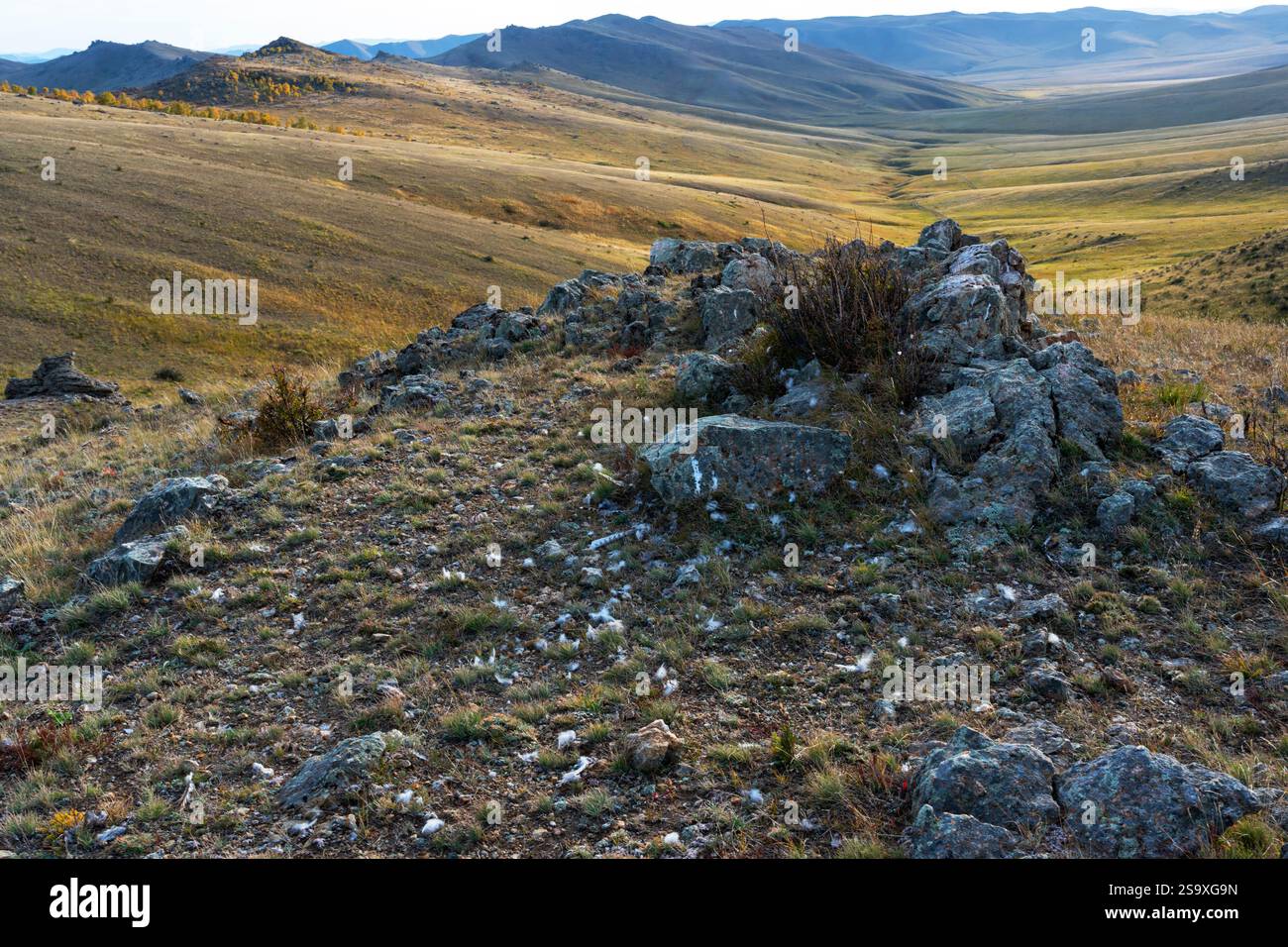 Asia, Mongolia, Parco Nazionale di Hustai. Scenario dei monti Hustai con affioramenti rocciosi e macchie di betulle e pendii erbosi. Foto Stock
