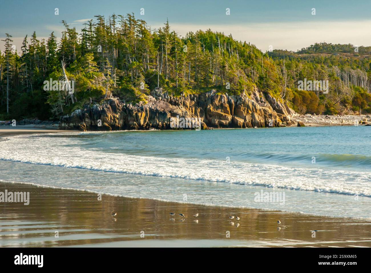 Canada, British Columbia, Inside Passage. Spiaggia sull'oceano di Calvert Island e scogliere boscose. Foto Stock