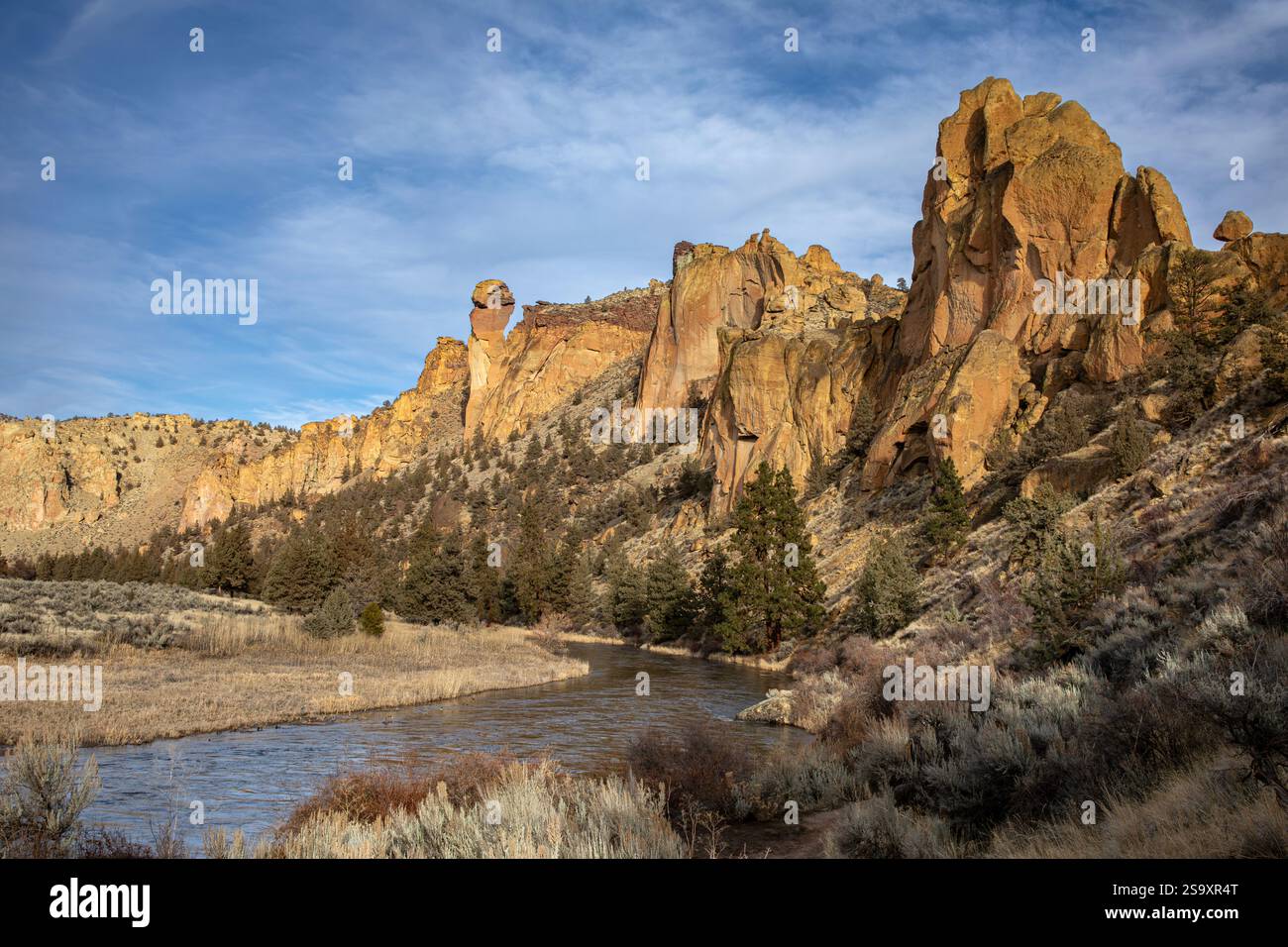 OR02911-00...OREGON - soldi fronteggiano la guglia e il fiume Crooked nello Smith Rock State Park. Foto Stock