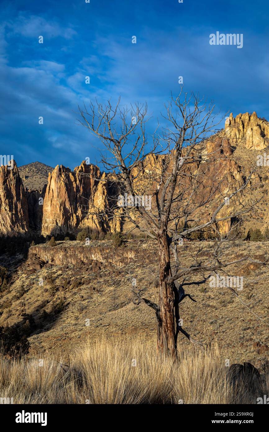 OR02916-00...OREGON - si affaccia sul profondo Canyon del fiume Crooked e sulle pareti a strapiombo delle guglie dello Smith Rock State Park. Foto Stock