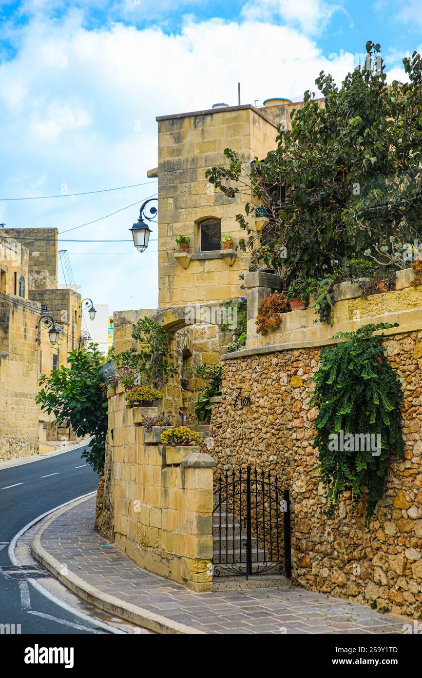 Gozo, Malta. Piante in vaso e a cascata su un edificio di pietra calcarea acciottolata Foto Stock