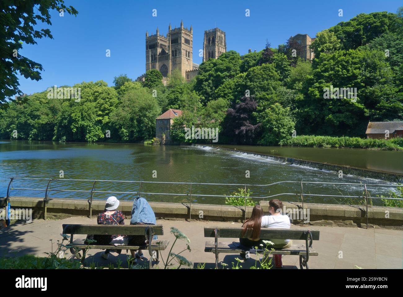 Durham, River Wear, County Durham, Inghilterra, Regno Unito. Foto Stock