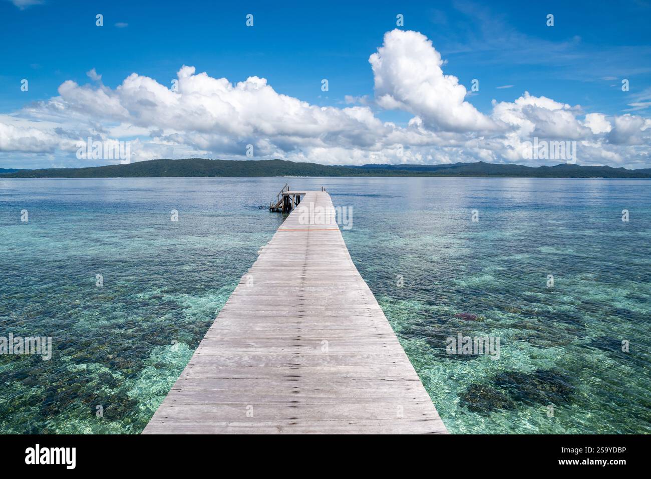 Un lungo molo di legno si estende nelle limpide acque turchesi, circondato da un tranquillo paesaggio marino e da cieli blu nuvolosi. Isola di Kri, Raja Ampat, Indonesia Foto Stock