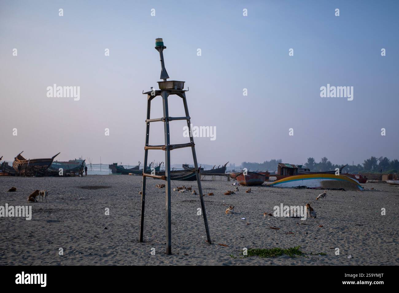 Cani bloccati sulla spiaggia di Saint Martin's Island, l'unica isola corallina del Bangladesh, situata nella Baia del Bengala, all'interno del distretto di Cox's Bazar. Foto Stock